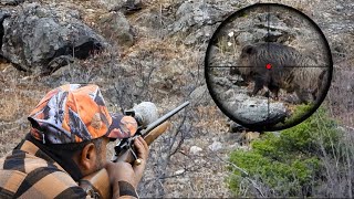 INCREDIBLE LongRange Wild Boar Hunting Shots Amazing Bullet Vapour Trails hunting hog [upl. by Anidal161]