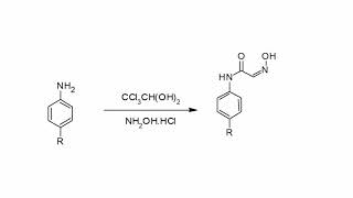 ISATIN synthesis and reactions organic chemistry group MAA2 [upl. by Ekrub]