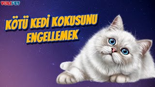 Ev Ortamında Kedi Hayvan Kokusu Nasıl Giderilir EVCİL HAYVAN KOKUSU [upl. by Medovich]