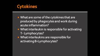 Cytokines during acute inflammation  IL1 IL8 and TNFalpha [upl. by Iahs146]