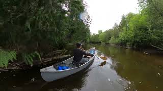 Canoeing the Upper Saugeen for Big Browns [upl. by Apthorp746]