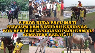 6 Ekor Kuda M4t1 Sebelum Dan Sesudah KEJURNAS DI SAWAHLUNTO SUMATERA BARAT [upl. by Prebo444]