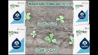 MUNARA AGRO TECHNOLOGIES PVT LTD TOBACCO CROP ENTEC SOLUB 21RESULT USED9052014082 [upl. by Terrag]