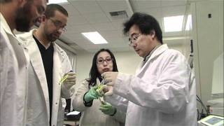 UCR Professor Jiayu Liao on Protein Interaction Research [upl. by Ingvar]