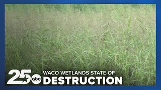 Lake Waco Wetlands in state of destruction as the area celebrates its 20th anniversary [upl. by Cohla210]