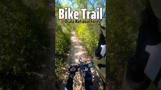 Bike Trail  Ocala National Forest on the stealthbomber ebike talaria dirtbike bikebuild trail [upl. by Nilats]