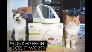 TESTING THE SUREFEED MICROCHIP PET FEEDER  SVEN amp ROBBIE [upl. by Mellar]