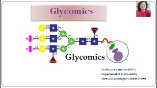 Glycomics Part 7 [upl. by Essinger]