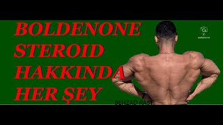 Boldenone steroid hakkında her şey ve görevi nedir [upl. by Gauldin]