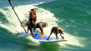 Dogs Paddleboard with Owner in Ocean [upl. by Naltiak710]