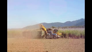 Fabricación de papel Ledesma con caña de azúcar  Alimentos y Regiones [upl. by Hollinger]