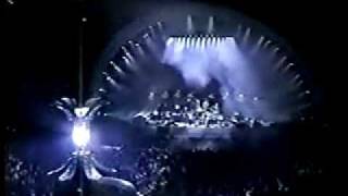 Pink Floyd  Comfortably Numb  Yankee Stadium 94 [upl. by Caplan]