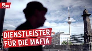 Das StrohmannKartell  Dienstleister für die Mafia  Reportage [upl. by Ainslee]