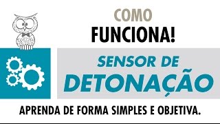 COMO FUNCIONA  Sensor de Detonação [upl. by Nivalc]