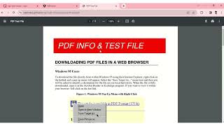 Visualizar documento PDF en angular con ng2pdfviewer [upl. by Aracaj910]