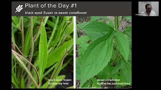 Botany Beginners 2022  Managing Prairie Strips Lecture 3 [upl. by Euh]