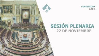 Sesión Plenaria 22112018 [upl. by Vikki690]