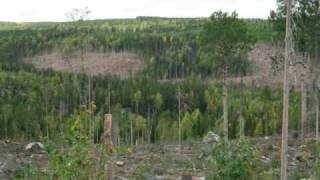 Ingemars Vår gamle grend Finnskogen [upl. by Jamie894]