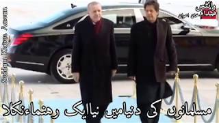 Alam lehra gaye is duniya mein Imran Khan and Tayyab Erdogan [upl. by Brackely864]