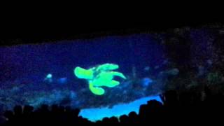 Big Blue World Nemo ride Epcot Orlando  Florida [upl. by Reivilo]