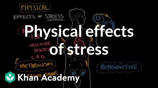 Physical effects of stress  Processing the Environment  MCAT  Khan Academy [upl. by Gianna]