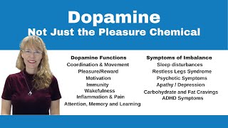 Demystifying Neurotransmitters Serotonin Dopamine and Beyond [upl. by Shani234]