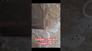 carpet Chellala cleaning [upl. by Ldnek]