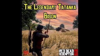 RDR2  what will happen if player hunt Legendary Bison using fire arrow [upl. by Lawlor]