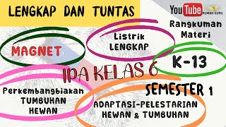 MASA PUBERTAS Lagu Pembelajaran IPA kelas 6 irama lagu manuk Dadali part10 [upl. by Ernestine]