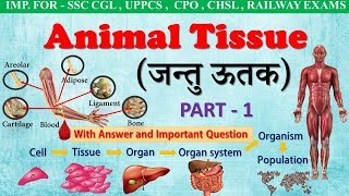 General science । Animal Tissue in Hindi । जन्तु ऊतक । Part1 । For all ssc exam NEET class 911 [upl. by Celik875]