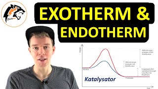 Exotherme amp Endotherme Reaktionen  Energiediagramme erklärt [upl. by Tnaryb]