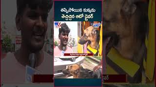 iSmart News  తప్పిపోయిన కుక్కను తెచ్చిచ్చిన ఆటో డ్రైవర్  Auto Driver Fetched The Lost Dog TV9 [upl. by Dlanar]