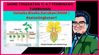 SAINS TINGKATAN 1  47 PEMBIAKAN TUMBUHAN  KSSM  sainstingkatan1 [upl. by Nimad798]