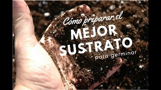 Cómo preparar el mejor sustrato para germinar by AGROPOLIS [upl. by Atrahc195]