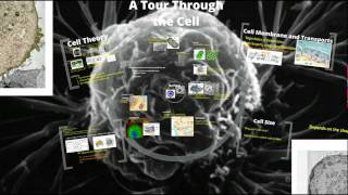 Tour Through a Eukaryotic Cell [upl. by Amahs]