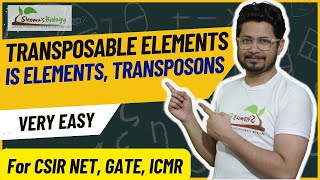 Transposable elements in prokaryotes and eukaryotes  Transposons and jumping genes  IS elements [upl. by Anyehs]