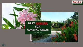 Landscape plants for coastal areas  SHRUBS PLANTS plants name Svaba sl [upl. by Neraj]