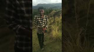 kodaikanal mountains mountainview kodaikanalvlog [upl. by Anierdna917]