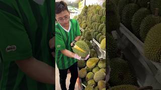 Durian heaven The Most Popular Durian Store in Malacca Malaysia  Fruit Cutting Skills [upl. by Maddie464]