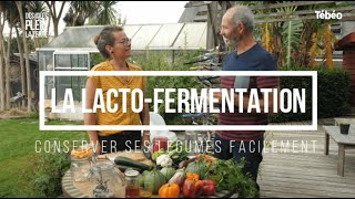 Comment réaliser une lactofermentation facilement [upl. by Tallu]