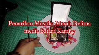 Penarikan Batu Mustika Merah Delima Perantara BK Batara Karang [upl. by Cordie88]