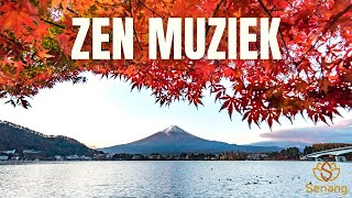 Zen Muziek  Bekijk deze video voor volledige ontspanning  432 Hz Alle 9 Solfeggiofrequenties [upl. by Derte]