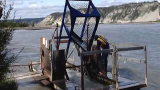 Chitina Fish Wheel [upl. by Llesig]