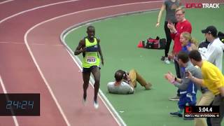 4x1 Debate Edward Cheserek World Records and Gwen Jorgensen [upl. by Remot91]