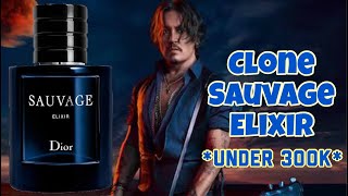 Memilih 6 Parfum Clone Murah Dior Sauvage Elixir 🤔 [upl. by Annawyt400]