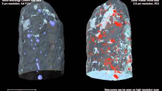 CT porosity measurements on ferritic steel a multiscale approach [upl. by Esinyl]