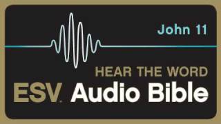 ESV Audio Bible Gospel of John Chapter 11 [upl. by Ocnarf573]