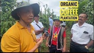 VISITING ORGANIC COFFEE PLANTATION IN VIETNAM DAK LAK ORGANISED BY HASIRU AGRI TOURISM [upl. by Kriss]