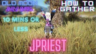 HOW TO GATHER IN BDO  OLD MOON EVENT JETIAN SEALS [upl. by Hearsh925]