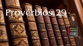 Provérbios 29  Bíblia CCB [upl. by Acihsay830]